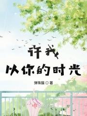 许我以微笑问候在线阅读