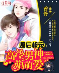 1v1婚后高冷文