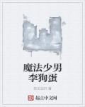 魔法少男动画