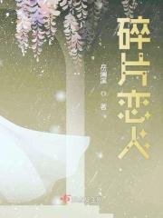 碎片是啥意思