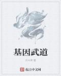 基因武道等级划分标准