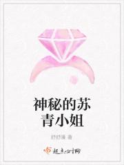 苏青是什么的主角