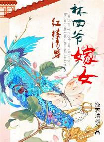 清穿+红楼林家小爷格格党