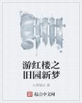 新红楼遗梦