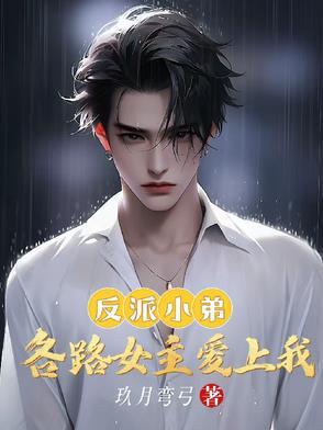反派女主文的简介