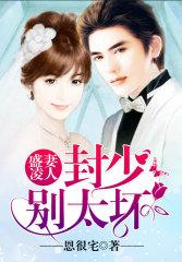 封祁渊盛宁蓁棠小