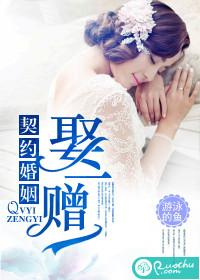 契约婚姻买一赠一免费阅读全文