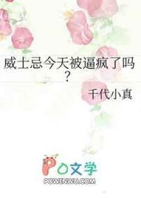 名柯威士忌组4ph