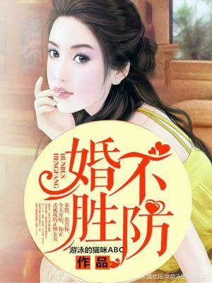 婚不设防免费阅读