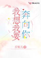 我要奔向前方那光芒是什么歌