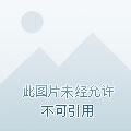 俗世妖人十三哥是谁